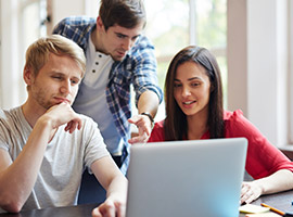 B.Sc. (Bachelor of Science)